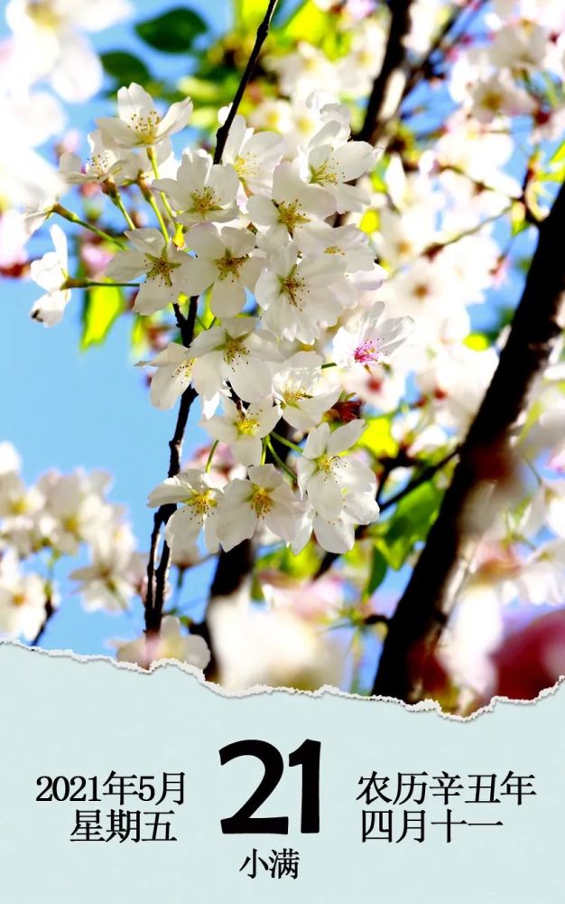 日历2021年5月21日星期五