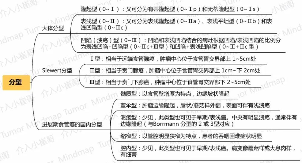 型10食管癌ctnm分期11食管鳞癌ptnm分期12其他食管癌分期13非远处转移