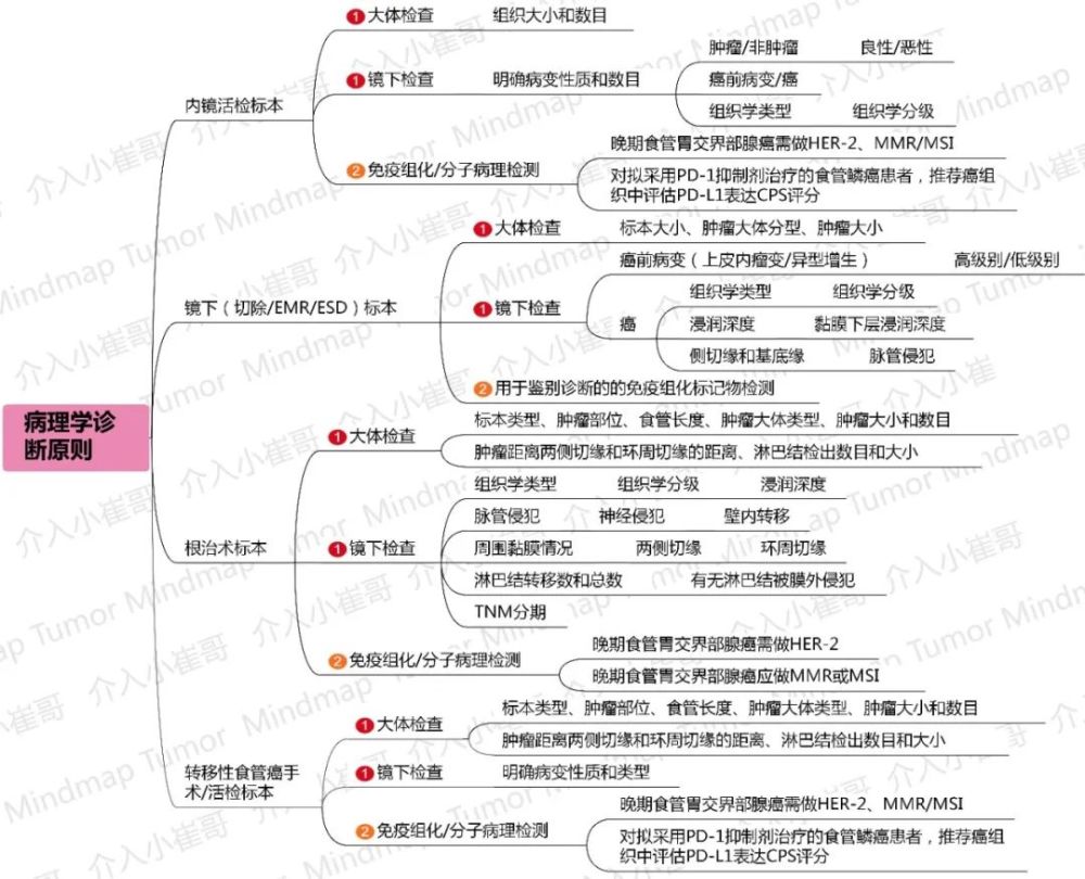 csco2021腫瘤思維導圖06期食管癌診療指南