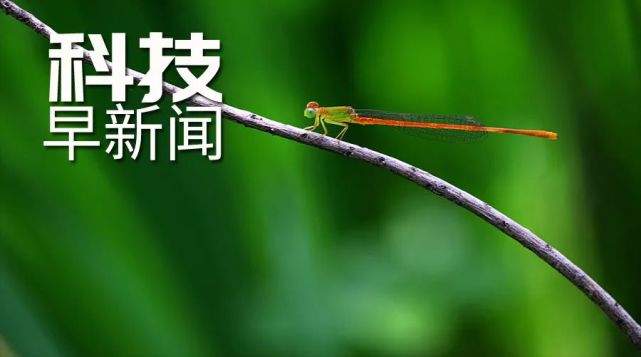  疫情是201几年开始的呢视频讲解一下(钟南山谈疫情视频)