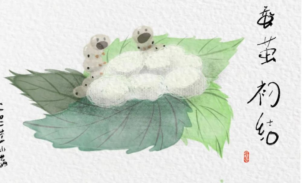 手绘丨今日小满欣欣然一切正好