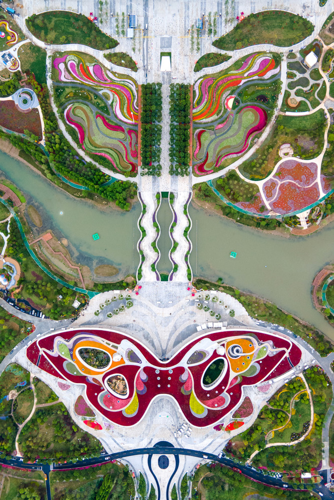 花博会探营 大蝴蝶 展翅百花开 与梦花园来一次美丽邂逅 腾讯新闻