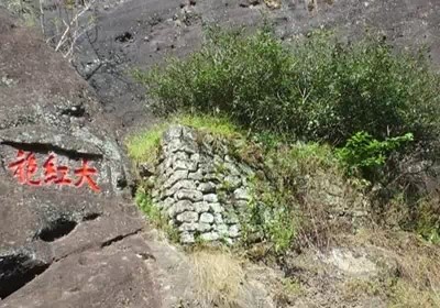 绿茶品牌排行榜_山东省排名第一的绿茶,就在五莲