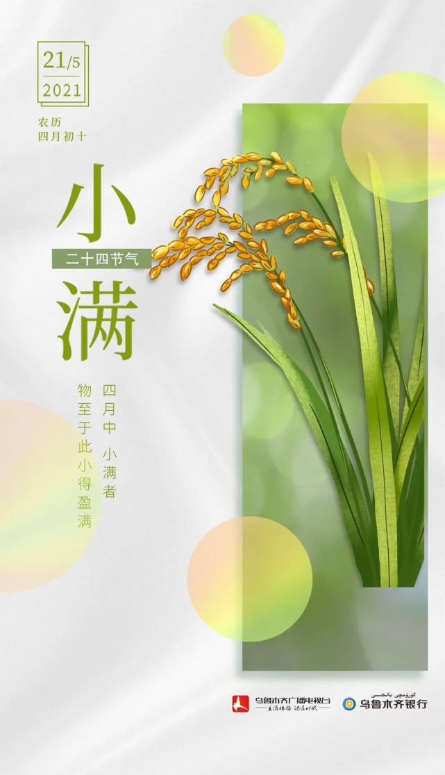 海报二十四节气小满