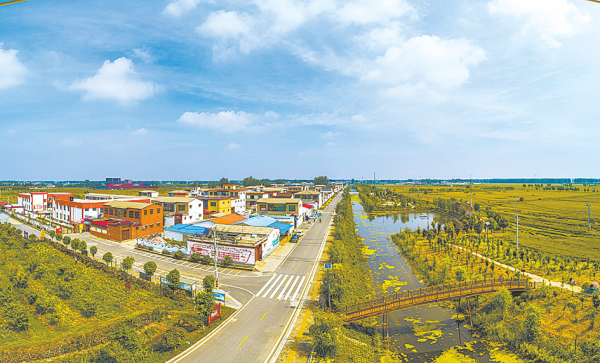 王建成5月18日,记者走进素有"北国江南"之称的上蔡县黄埠镇小王营村