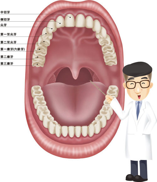 虎牙長得太醜了好想直接拔掉啊