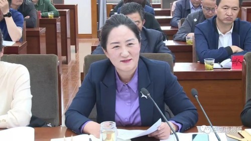 省级评估督导验收座谈会召开|蒋新贵|卫健委|督导组|临夏州|何瑞莲