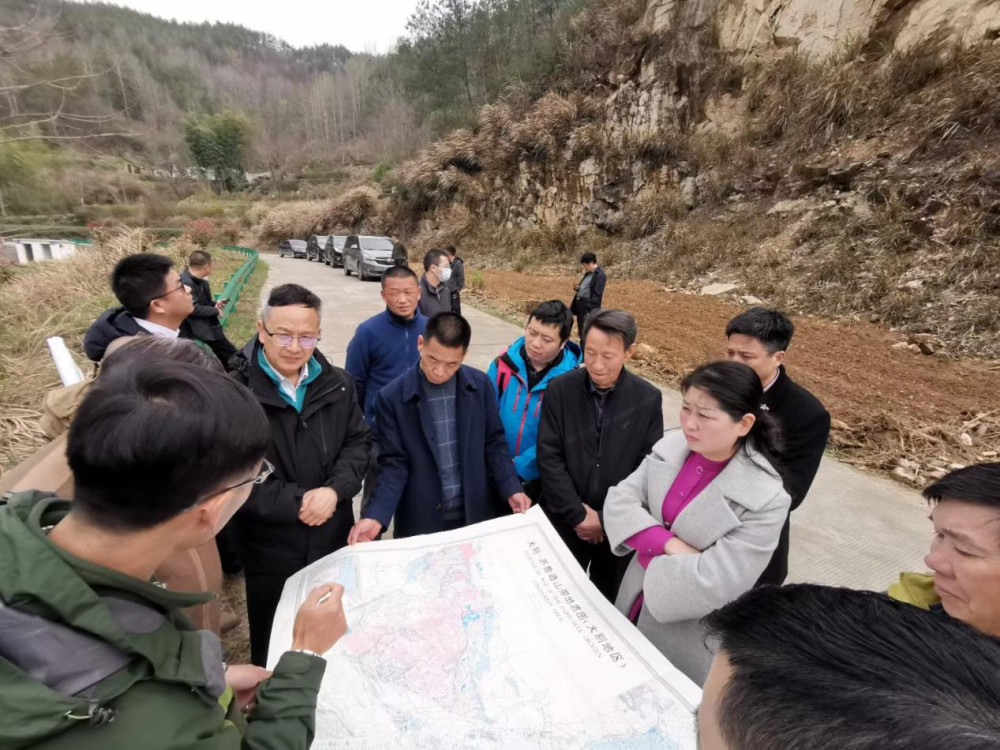 专家团队到英山实地勘探