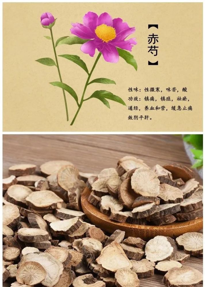 芍药花的功效与作用图片