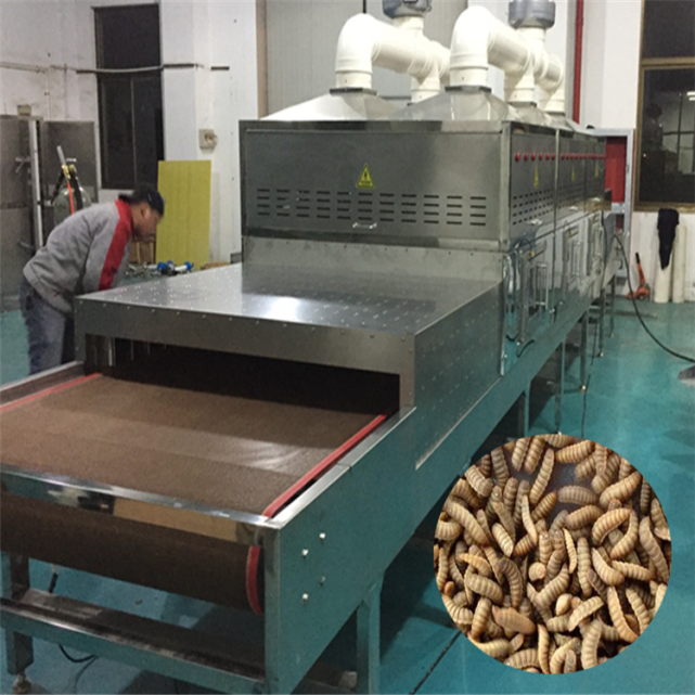 昆虫养殖产业链 黄粉虫如何烘干保存|产业链|黄粉虫|昆虫|烘干机