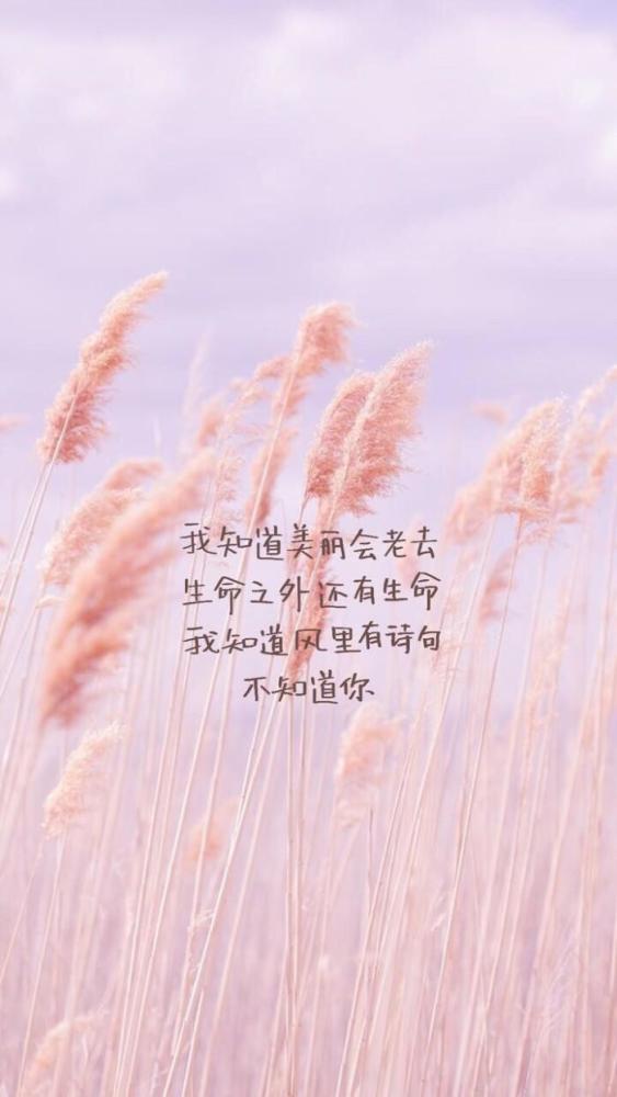 特别的日子,特别的爱,给特别的你._腾讯新闻