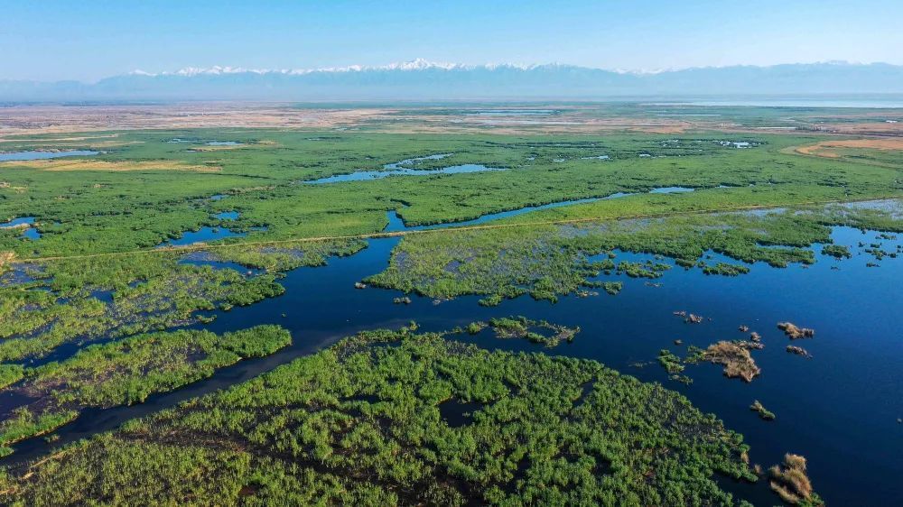 博斯腾湖是我国最大的内陆淡水湖,水域面积1646平方公里,独特的地理