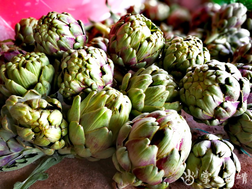 "蔬菜之皇"朝鲜蓟:在陆良从种到吃都有一套_腾讯新闻