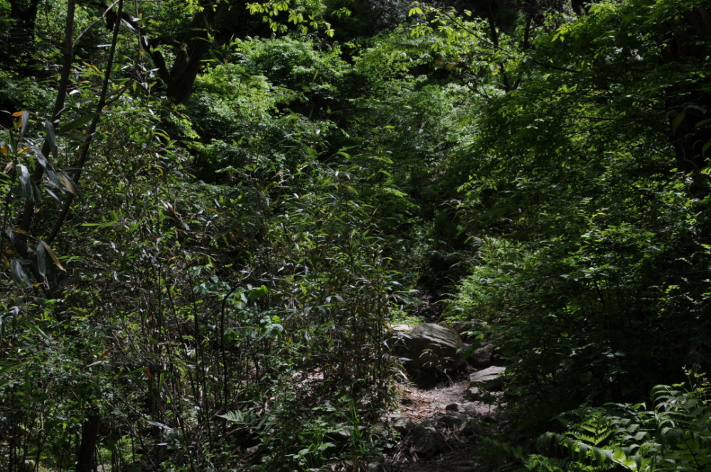 独自徒步空无一人的秦岭大山,突然出现一栋荒废的老屋_腾讯新闻