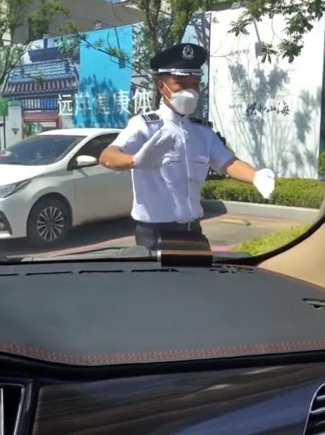 辽宁一售楼处保安指挥倒车,专业程度让人咋舌,网友:每平加2000