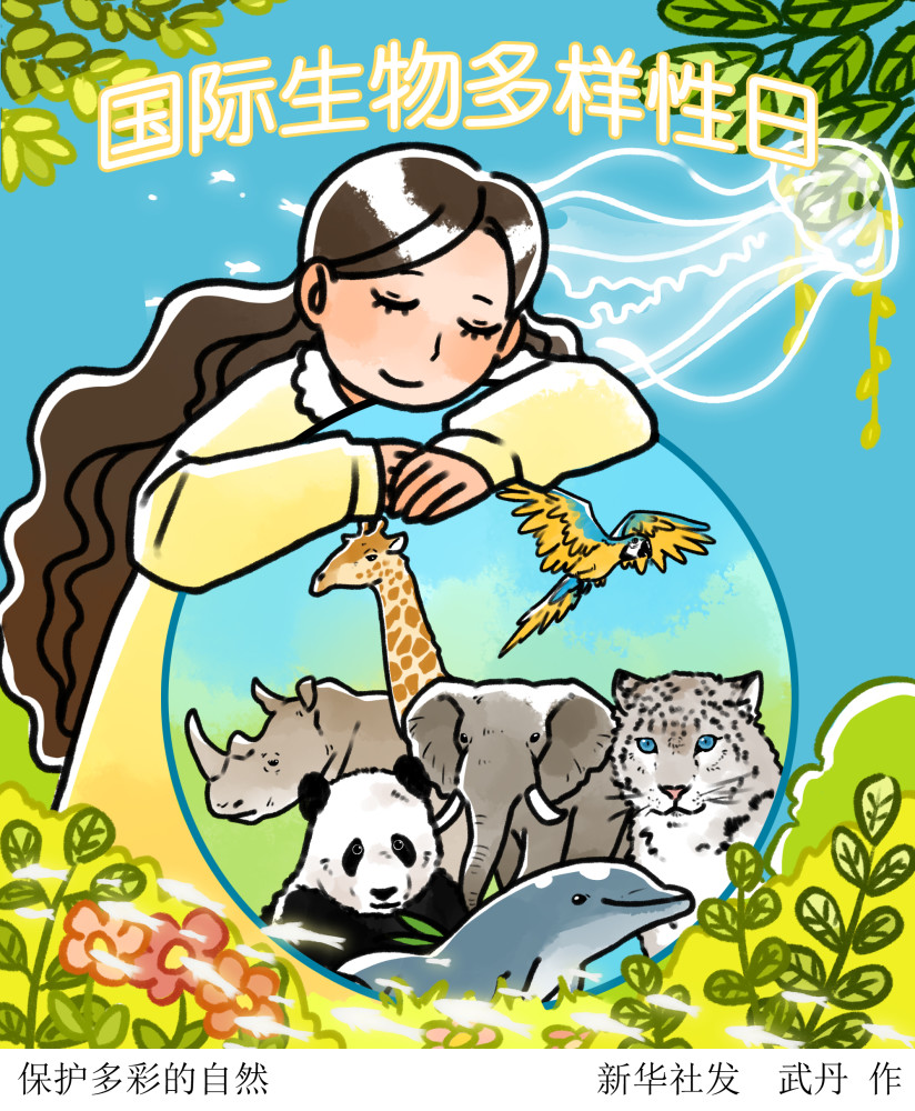 图表插画国际生物多样性日保护多彩的自然