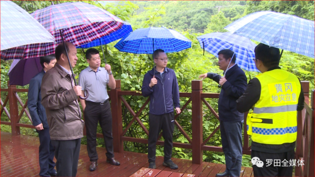 罗田县委委员,副县长秦新平陪同.