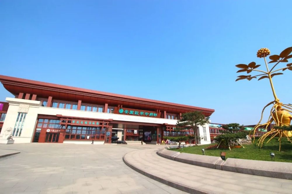 走百县寻百年路河北安国百年风华凝药香