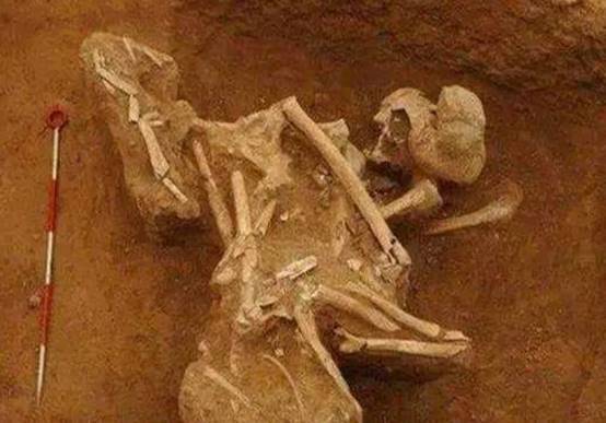 秦始皇女儿墓出土嬴阴嫚墓现场景象令人痛心胡亥秘密被揭开