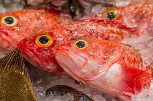 胸棘鯛,有些地方還叫它長壽魚,橙鯛魚,橙棘鯛,壽命可長達150歲.