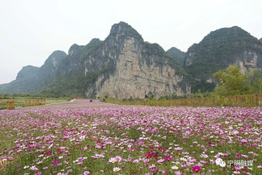 花山音画摄影师眼中的花山岩画