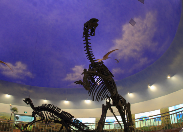 喜大普奔伊春这条线路入选全国乡村旅游学习体验线路