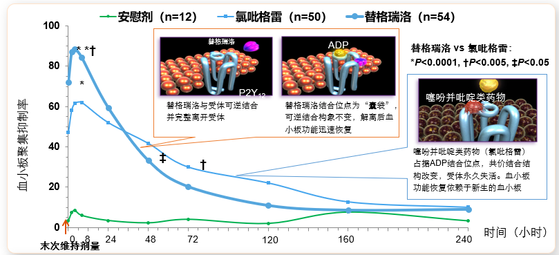 优化cabg术后二级预防之抗栓管理 以替格瑞洛为例 腾讯新闻
