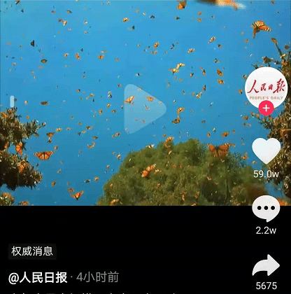 蝴蝶排行_“蝴蝶风暴”再度卷土重来销量排行证实一切