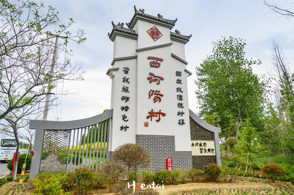 走进山东省级旅游特色村毫无商业化老槐树成了亮点