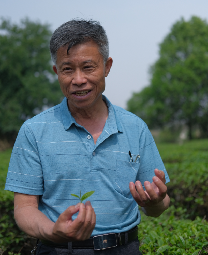 人物国际茶日大国茶匠李兴昌在传承中让普洱茶永葆青春