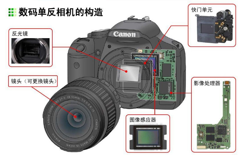 决定单反和微单画质的三大核心:影像传感器,影像处理器和镜头