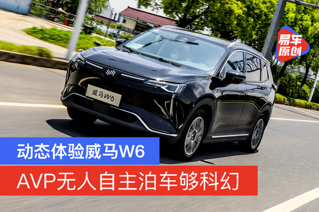 avp无人自主泊车够科幻动态体验威马w6