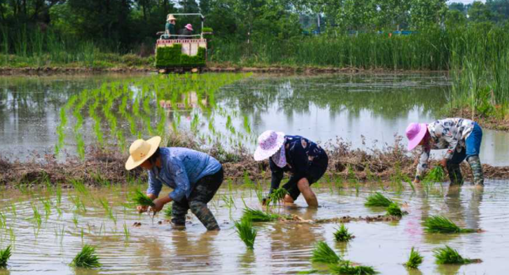 如果净利润只有1～2,房企应该向农民学习如何"种田!