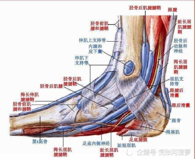 老詹遭格林,铁掌无情,这脚踝,真耐造啊_腾讯新闻