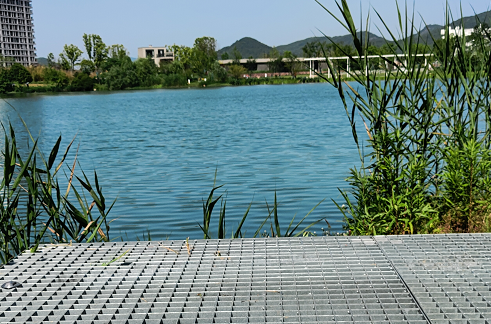 杭州森系豪宅!拥抱大自然的"森与海之城"