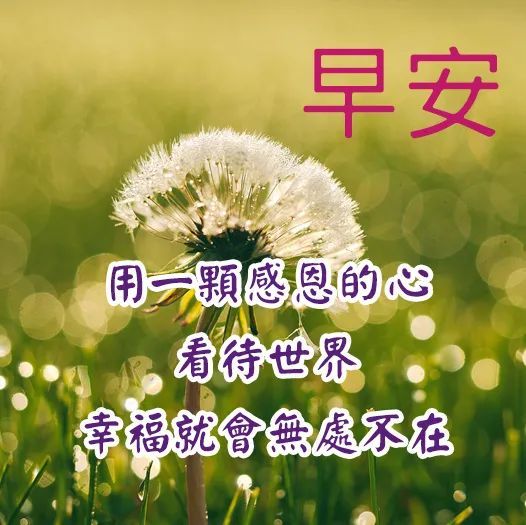 早安祝福你,早安祝福語大全