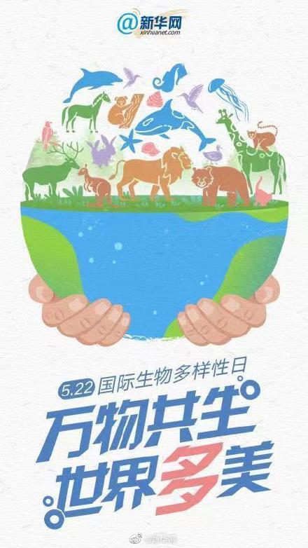 万物共生世界多美