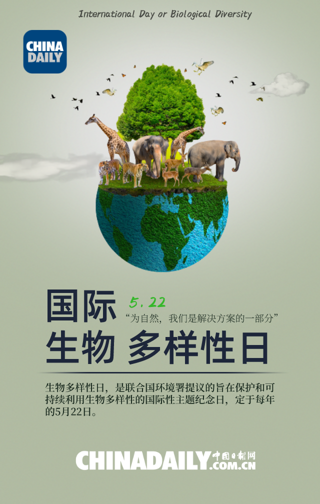 海报|万物共生 与自然和谐相处|联合国环境署|生物多样性|地球|程尔凡