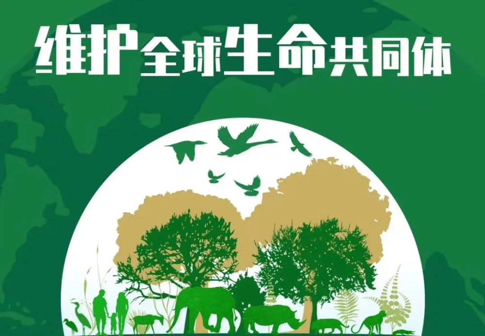 2021生物多样性日qa