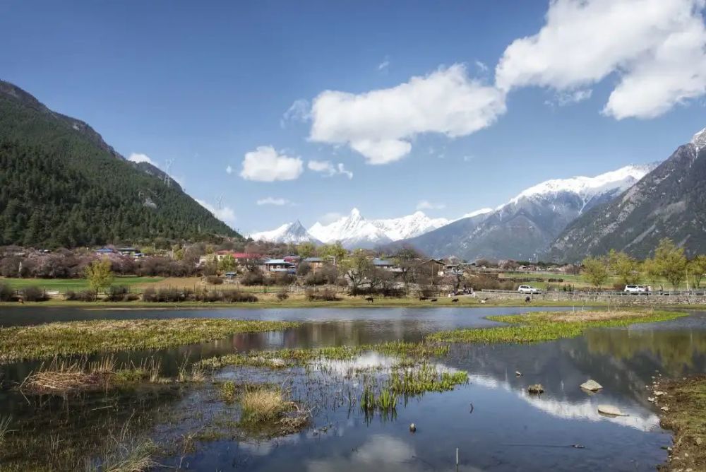 原來,林芝的平均海拔為 3000 米左右,最低處的海拔僅有 900 米,是世界