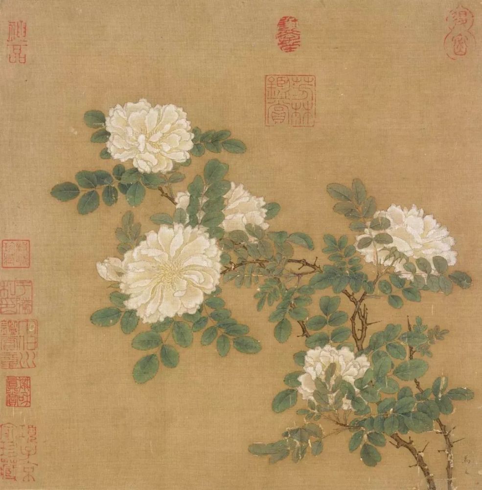 芙蓉锦鸡图作者介绍图片