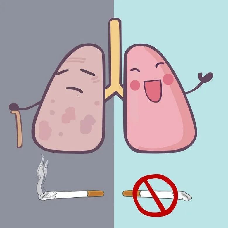 【控烟禁烟】_腾讯新闻