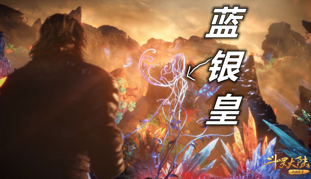 当然,还可以带着媳妇来看一下自己的母亲,大家都是魂兽,可以好好交流