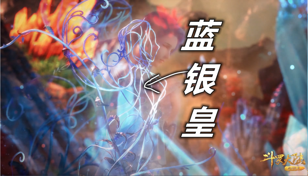 在这里可以加速生长,正因为如此,所以唐三才让唐昊把蓝银皇种在这里
