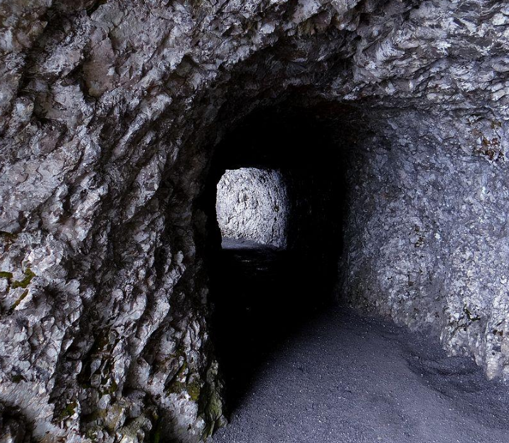 1958年日本警察在山洞内发现野人抓住后一查是中国人