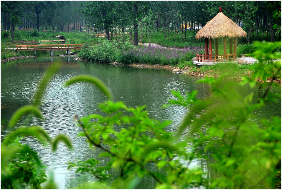 这个周末洛阳人不这样过太亏了