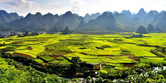 贵阳市南明区永乐乡,每逢开春时,满园桃花迎春盛开,放眼望去,漫山桃红