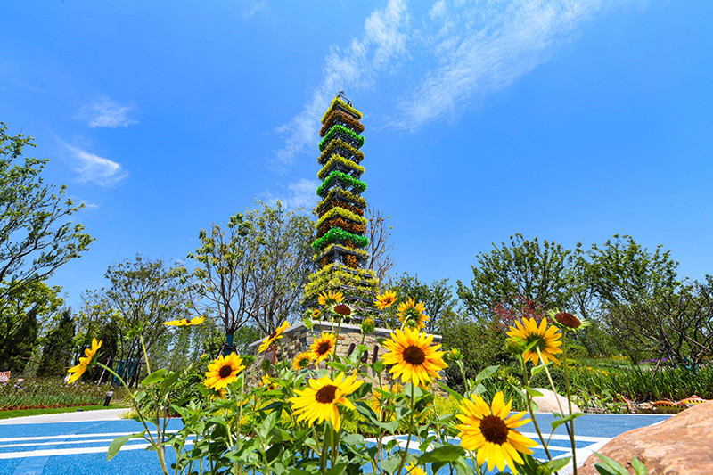 中国花卉博览园的会花(中国花卉博览会园区的会花)