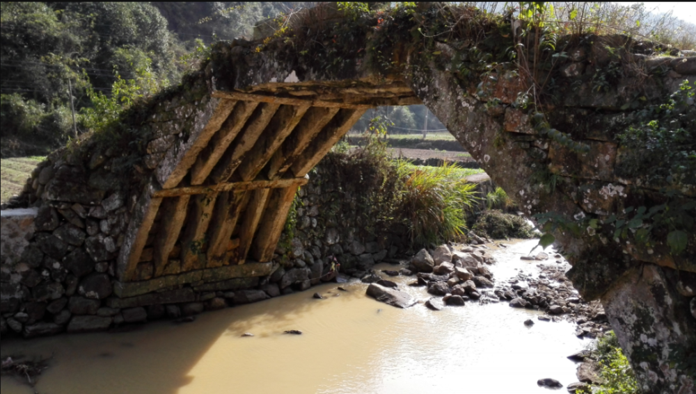 三争三比61产业项目梓洲村干好三件事三地共发展