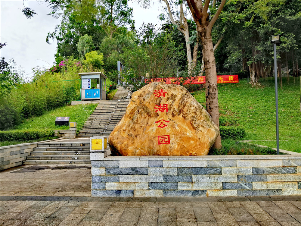 清湖游园掠影大和路上的风景一个少女心爆棚的地方
